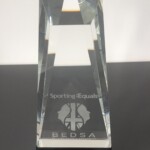 Singh Sabha Slough Sports - BEDSA Sport England community sports project of the year 2018